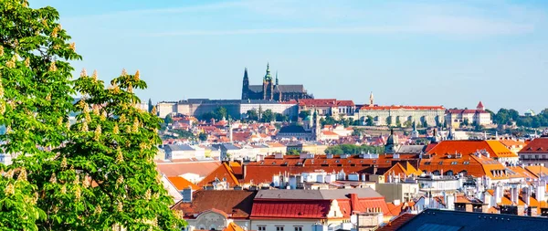 Pohled na Pražský hrad z Vyšehradu se svěže zelenými jarními stromy, Praha, Česká republika — Stock fotografie