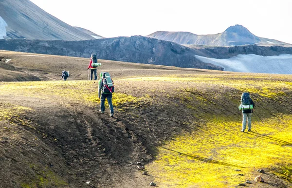 Grupp vandrare går uppför stigen vid Landmannalaugar, Laugavegur trek, Island — Stockfoto