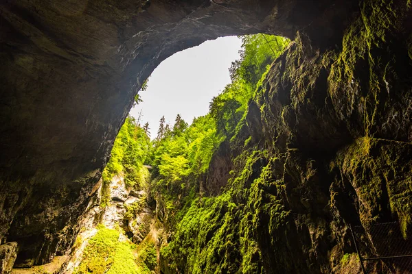 Macocha Abyss - grande desfiladeiro de calcário em Moravian Karst, Czech: Moravsky Kras, Czech Republic. Vista de baixo. — Fotografia de Stock