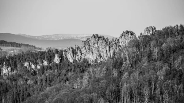 Torra klippor, Tjeckien: Suche skaly. Sandsten klippformation i Boemian Paradise, Tjeckien — Stockfoto