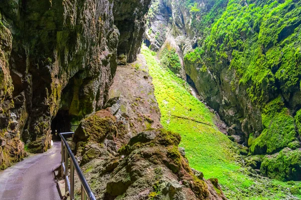 Macocha Abyss - grote kalksteenkloof in Moravië Karst, Tsjechië: Moravsky Kras, Tsjechië. Zicht van onderaf. — Stockfoto