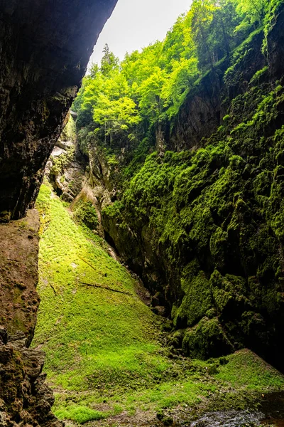 Macocha Abyss - grande gola calcarea nel Carso moravo, Repubblica Ceca: Moravsky Kras, Repubblica Ceca. Vista dal basso. — Foto Stock