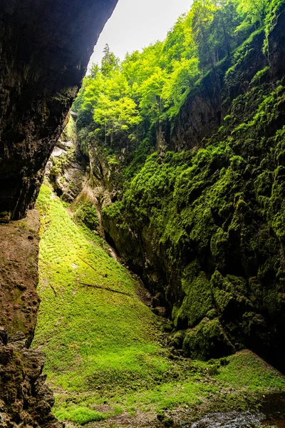 Macocha Abyss - grote kalksteenkloof in Moravië Karst, Tsjechië: Moravsky Kras, Tsjechië. Zicht van onderaf. — Stockfoto