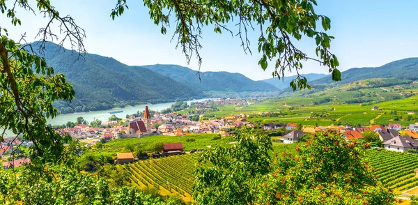 Sonniger Tag in der Wachau. Landschaft der Weinberge und der Donau bei Weißenkirchen, Österreich — Stockfoto