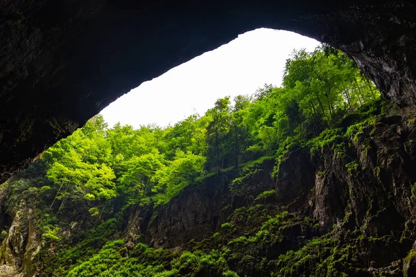 Macocha Abyss - grote kalksteenkloof in Moravië Karst, Tsjechië: Moravsky Kras, Tsjechië. Zicht van onderaf. — Stockfoto