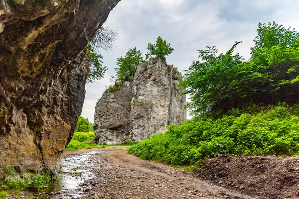 Hrebenac - jedinečná vápencová skalní formace ve Sloupu, Moravský kras, Česká republika — Stock fotografie