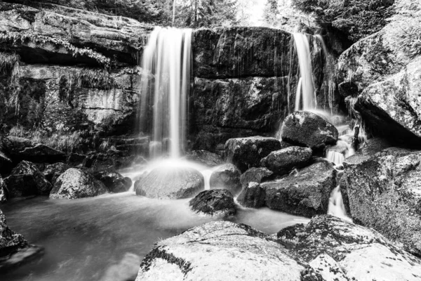 Wild Forest Waterfall — Stock Photo, Image