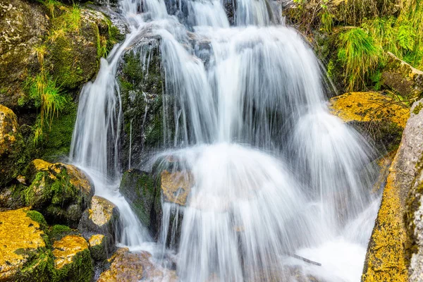 Wildwaldwasserfall — Stockfoto