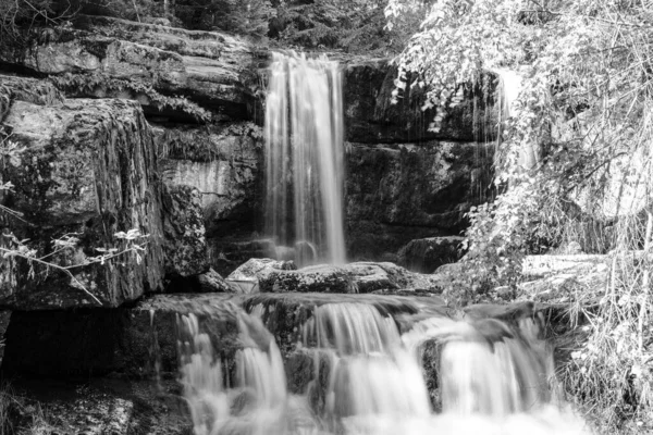 Wild Forest Waterfall — Stock Photo, Image