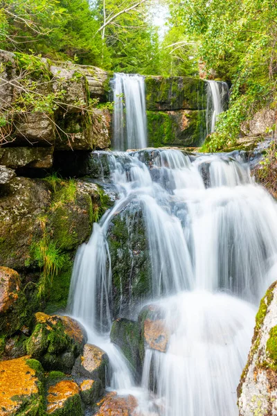 Wild Forest Waterfall — Stock Photo, Image