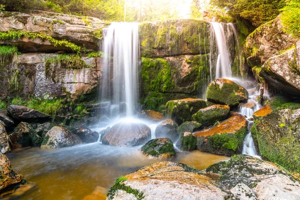 Wild Forest Waterfall — Stock Photo, Image