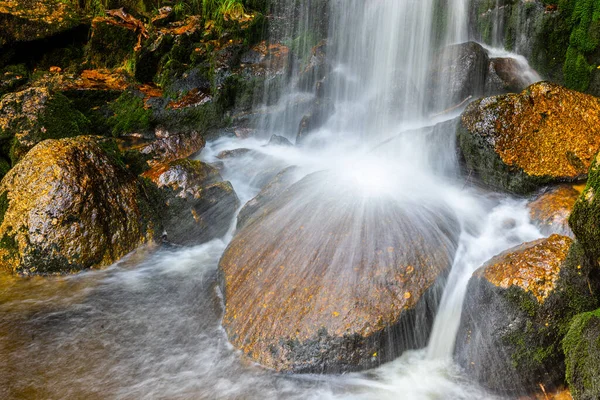 Floresta selvagem Cachoeira — Fotografia de Stock