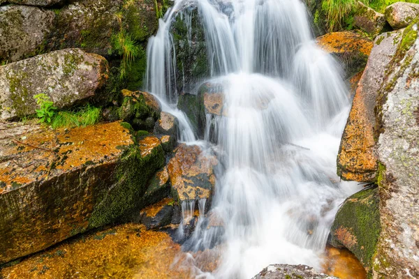 Wildwaldwasserfall — Stockfoto