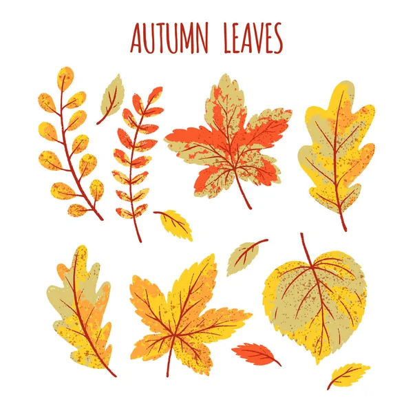 Collection de feuilles d'automne — Image vectorielle