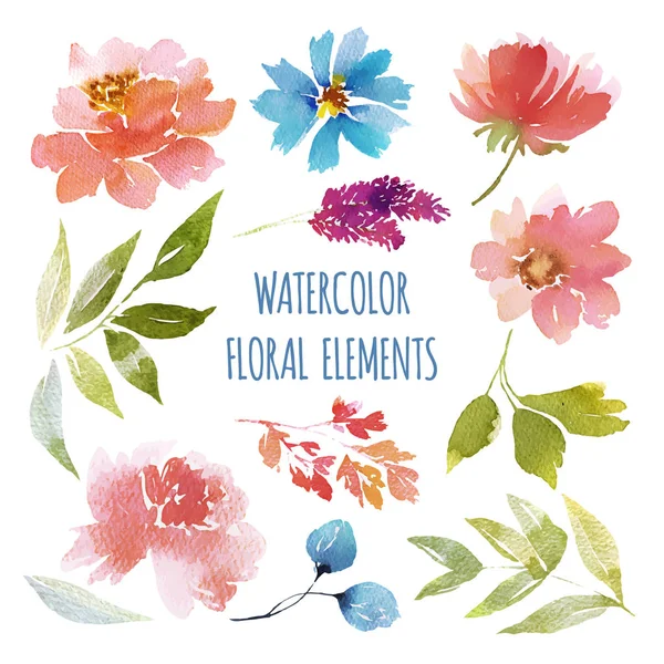 Aquarela coleção de flores — Vetor de Stock