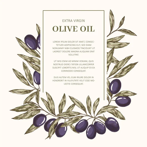 Modèle d'étiquette d'huile d'olive — Image vectorielle