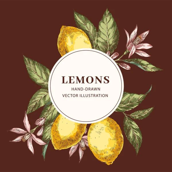 Lemon mão desenhado modelo de quadro círculo —  Vetores de Stock