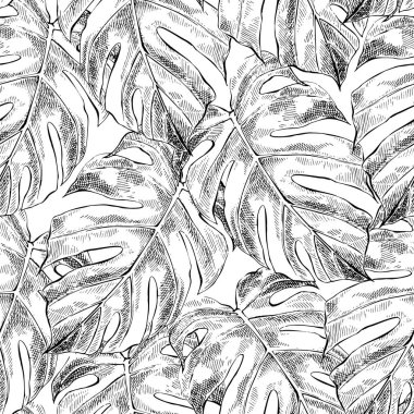 Monstera el çekilmiş Dikişsiz desen bırakır