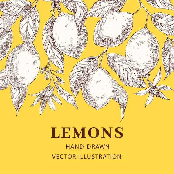 レモンの手描きのスケッチ ベクトル ポスター テンプレート — ストックベクタ