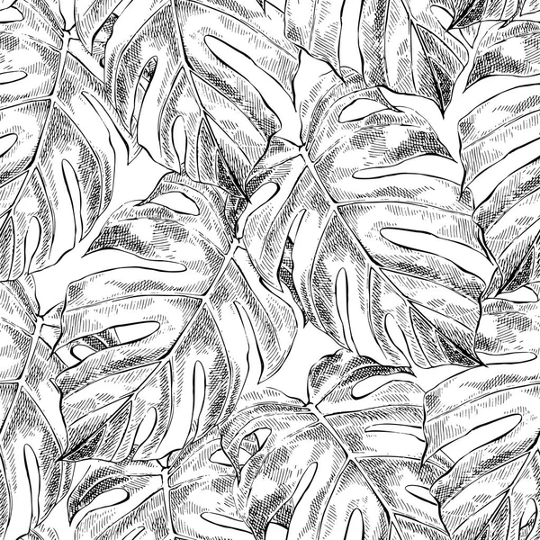 Monstera листья руки нарисованы бесшовный узор — стоковый вектор