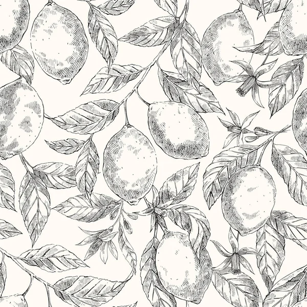 レモンの手描きの背景シームレスなスケッチ パターン — ストックベクタ
