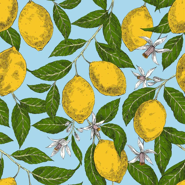 Limon el çizilmiş vektör Dikişsiz retro desen — Stok Vektör