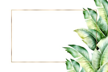 İzole edilmiş tropik palmiye yaprakları çerçevesi