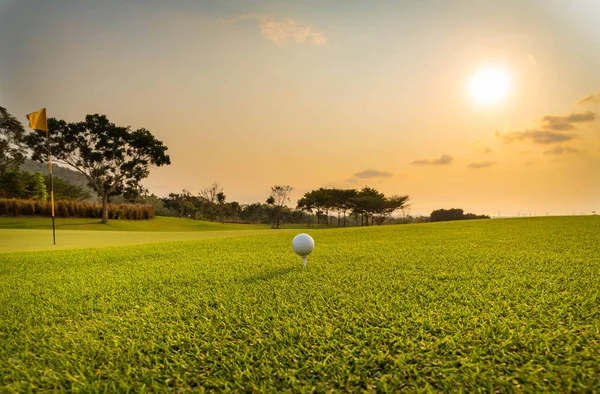 Golflabda Elhelyezés Zöld Közelében Lyuk Golf — Stock Fotó