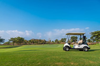 A Golf cart and golf clubs bag with shadow reflection on green grass field  and big tree with blue sky background clipart