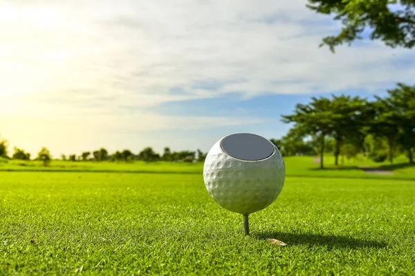 Golfový Míč Zelený Trávník Golfu — Stock fotografie