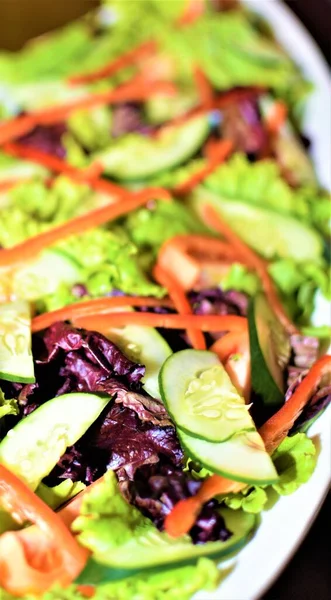Plate Salad Made Fresh Leafy Greens Other Vegetables — Stock Photo, Image