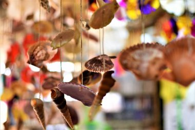 Traditional wind chimes made of sea shells hang in an island gift shop clipart