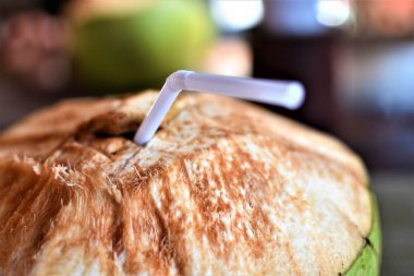 Doğal hindistan cevizi suyu bir ada kafesinde samanla servis edilir.