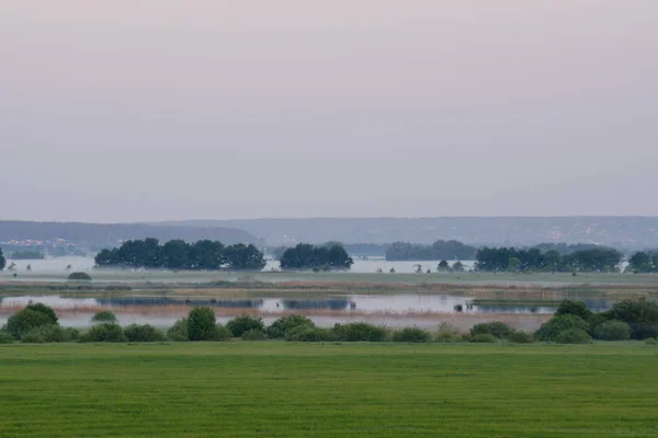 Jezero Mlze Při Východu Slunce Letní Krajina — Stock fotografie