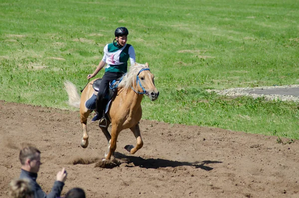 Reiter auf einem Pferd der tatarischen Rasse — Stockfoto