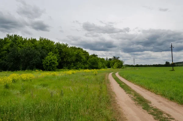 Ландшафтные дождевые облака над зеленым полем и проселочной дорогой — стоковое фото