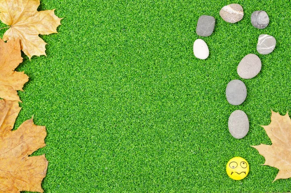 question mark laid out of sea stones on green grass with a smiley and autumn leaves