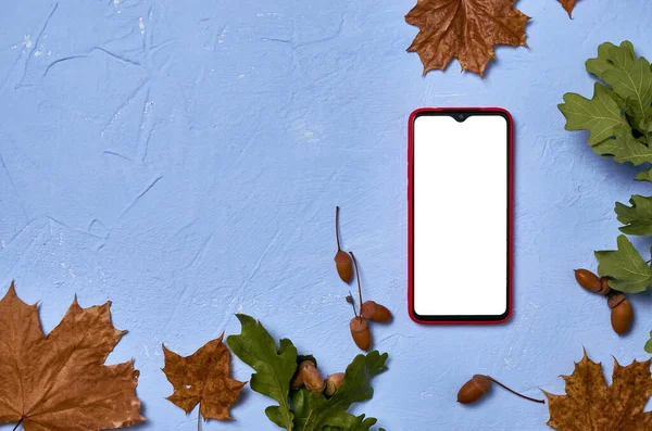Sonbahar yaprakları, meşe palamutları ve yeşil meşe yaprakları düz, serbest alan ile mavi bir zemin üzerinde kırmızı telefon beyaz ekran