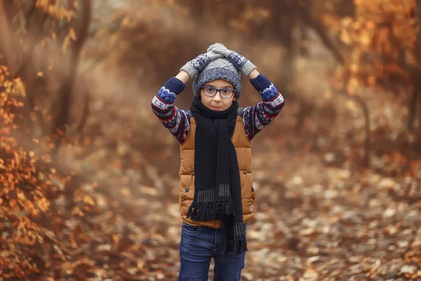 Ett Barn Med Glasögon Bakgrunden Ett Höstlandskap — Stockfoto