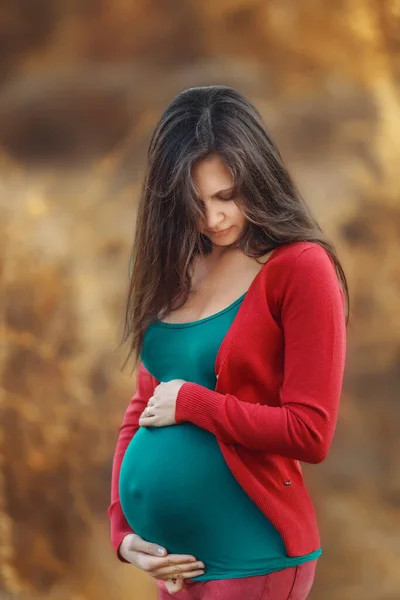 Zwangere Vrouw Het Herfstbos Herfst Portret Zwangerschap Moederschap Verwachting Concept — Stockfoto