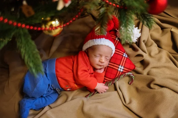 Cute Newborn Baby Santa Hat Sleeping Baby Fir Tree Closeup — Stock Photo, Image