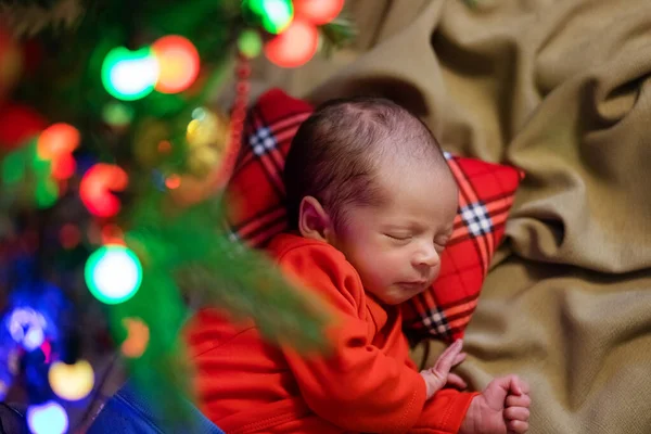 Cute Newborn Baby Sleeping Baby Fir Tree Closeup Portrait Newborn — Stock Photo, Image