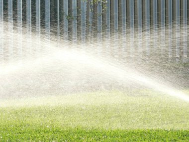 Sprinklers sıcak bir yaz gününde otomatik sulama çim. Ayarlanabilir kafa ile yağmurlama sulama sisteminden su tasarrufu. Çimlerin sulanması ve bakımı için otomatik ekipmanlar, bahçe.