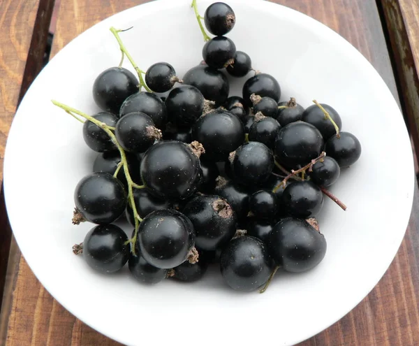 Fresh black currants with leaves isolates in a white plate on a wooden background. — Stock Photo, Image