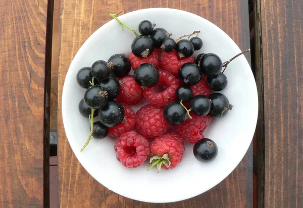 新鲜的红色树莓和黑醋栗与叶子隔离在木背景的白色盘子. — 图库照片
