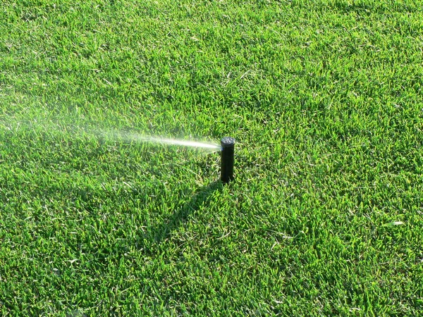 Sprinklers automatic watering grass on a hot summer day. Savings of water from sprinkler irrigation system with adjustable head. Automatic equipment for irrigation and maintenance of lawns, gardening.