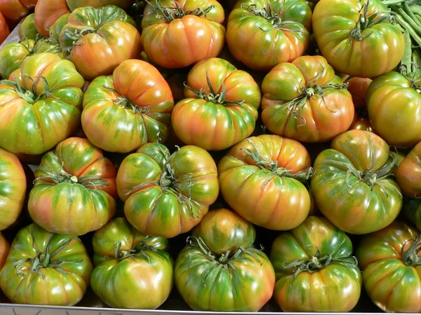 Rosso Verde Pomodori Texture Sfondo Pomodori Freschi Sul Tavolo Del — Foto Stock