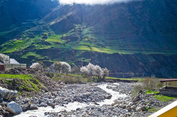 Mountain River Vladikavkaz Dzinaga Våren — Stockfoto