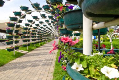 çiçek kemer Çeçenisya Grozny Meydanı A. Kadırov 