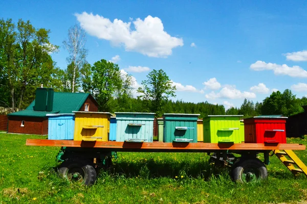 Auf Einem Anhänger Bienenstock Des Parks Mit Bienen — Stockfoto